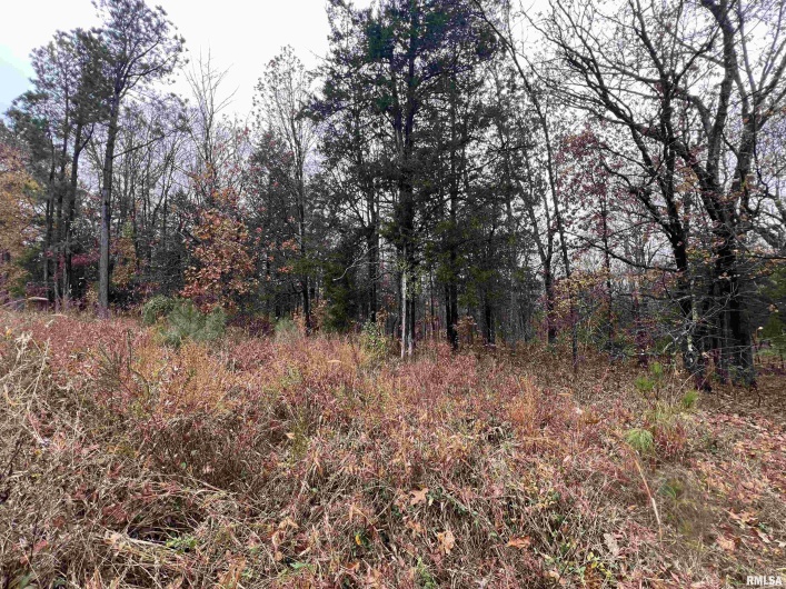 Lot 157 Parrish Ridge Lane, Goreville, Illinois 62939, 0 , 0 ,0,Land,For Sale,Parrish Ridge,0,RMAEB460514