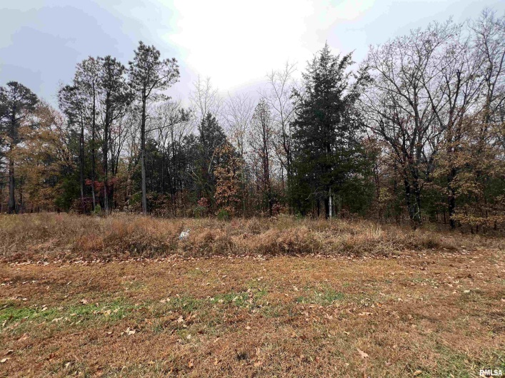 Lot 157 Parrish Ridge Lane, Goreville, Illinois 62939, 0 , 0 ,0,Land,For Sale,Parrish Ridge,0,RMAEB460514
