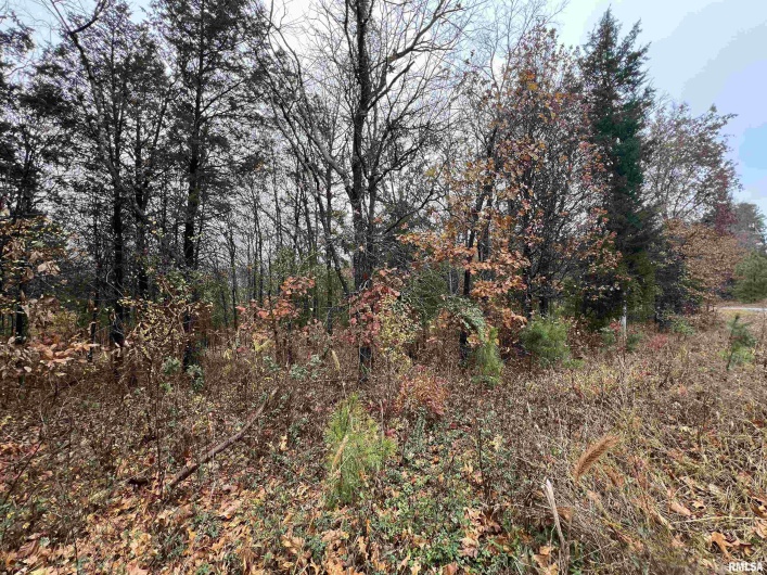 Lot 157 Parrish Ridge Lane, Goreville, Illinois 62939, 0 , 0 ,0,Land,For Sale,Parrish Ridge,0,RMAEB460514