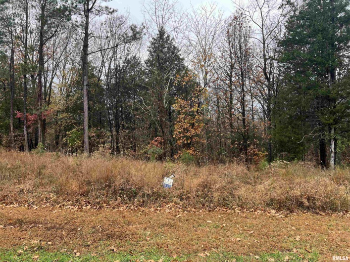 Lot 157 Parrish Ridge Lane, Goreville, Illinois 62939, 0 , 0 ,0,Land,For Sale,Parrish Ridge,0,RMAEB460514