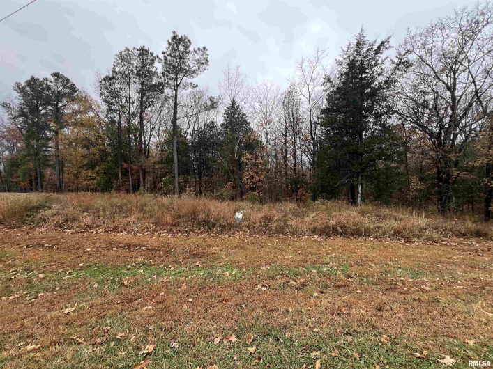 Lot 157 Parrish Ridge Lane, Goreville, Illinois 62939, 0 , 0 ,0,Land,For Sale,Parrish Ridge,0,RMAEB460514