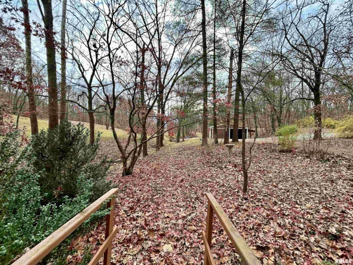 61 Schack Road, Murphysboro, Illinois 62966, 3 Bedrooms Bedrooms, 0 ,2 BathroomsBathrooms,Residential,For Sale,Schack,0,RMAEB460521