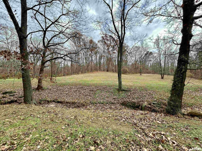 61 Schack Road, Murphysboro, Illinois 62966, 3 Bedrooms Bedrooms, 0 ,2 BathroomsBathrooms,Residential,For Sale,Schack,0,RMAEB460521