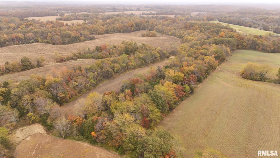 13536 Alleghany Road, Thompsonville, Illinois 62890, 3 Bedrooms Bedrooms, 0 ,2 BathroomsBathrooms,Residential,For Sale,Alleghany,0,RMAEB460528