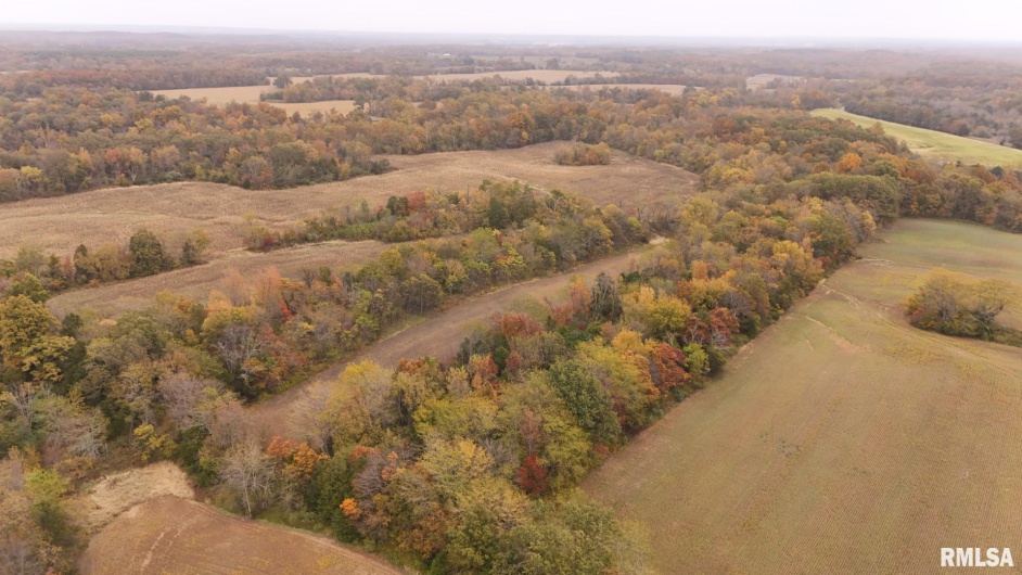 13536 Alleghany Road, Thompsonville, Illinois 62890, 3 Bedrooms Bedrooms, 0 ,2 BathroomsBathrooms,Residential,For Sale,Alleghany,0,RMAEB460528