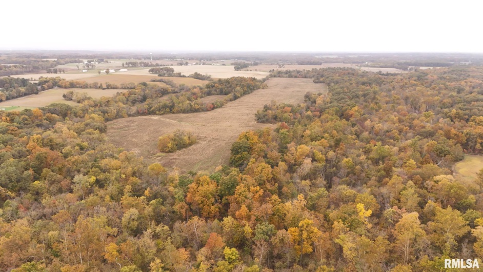 13536 Alleghany Road, Thompsonville, Illinois 62890, 3 Bedrooms Bedrooms, 0 ,2 BathroomsBathrooms,Residential,For Sale,Alleghany,0,RMAEB460528