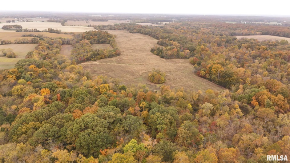 13536 Alleghany Road, Thompsonville, Illinois 62890, 3 Bedrooms Bedrooms, 0 ,2 BathroomsBathrooms,Residential,For Sale,Alleghany,0,RMAEB460528