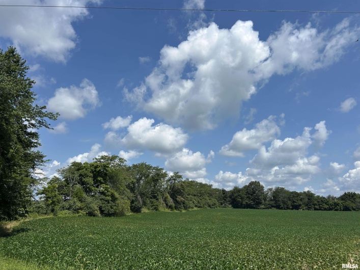 13536 Alleghany Road, Thompsonville, Illinois 62890, 3 Bedrooms Bedrooms, 0 ,2 BathroomsBathrooms,Residential,For Sale,Alleghany,0,RMAEB460528