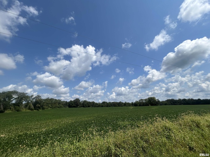 13536 Alleghany Road, Thompsonville, Illinois 62890, 3 Bedrooms Bedrooms, 0 ,2 BathroomsBathrooms,Residential,For Sale,Alleghany,0,RMAEB460528