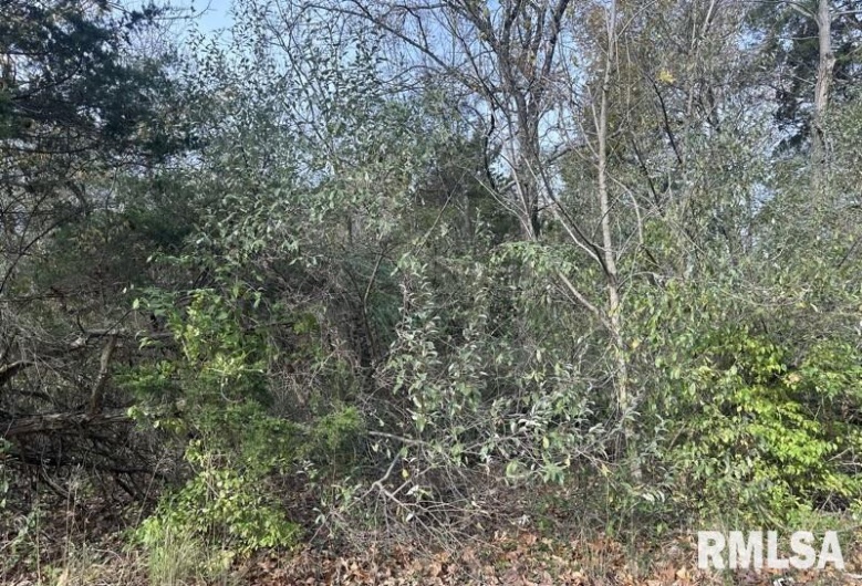 Lot 177 SYCAMORE Street, Goreville, Illinois 62939, 0 , 0 ,0,Land,For Sale,SYCAMORE,0,RMAEB460545