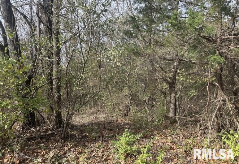 Lot 177 SYCAMORE Street, Goreville, Illinois 62939, 0 , 0 ,0,Land,For Sale,SYCAMORE,0,RMAEB460545
