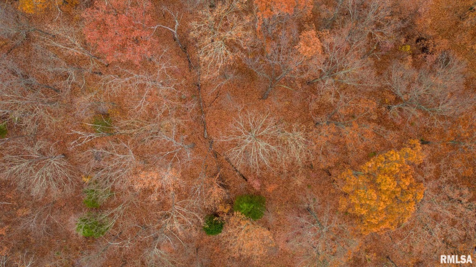 000 Cut Off Road, Creal Springs, Illinois 62922, 0 , 0 ,0,Land,For Sale,Cut Off,0,RMAQC4269612