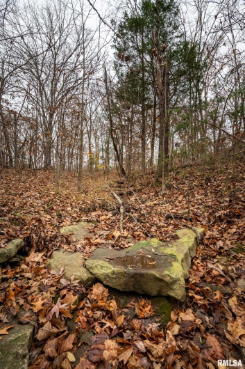 000 Cut Off Road, Creal Springs, Illinois 62922, 0 , 0 ,0,Land,For Sale,Cut Off,0,RMAQC4269612