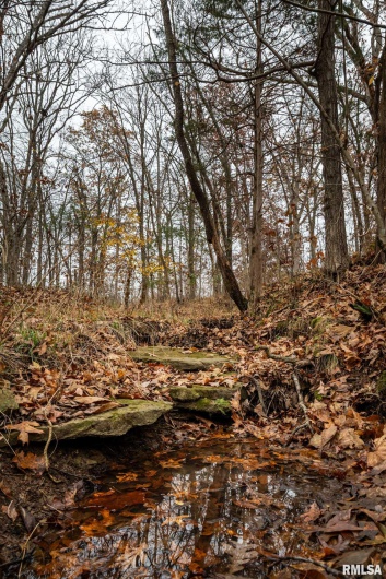 000 Cut Off Road, Creal Springs, Illinois 62922, 0 , 0 ,0,Land,For Sale,Cut Off,0,RMAQC4269612