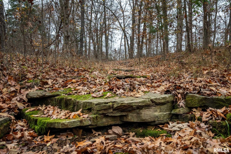 000 Cut Off Road, Creal Springs, Illinois 62922, 0 , 0 ,0,Land,For Sale,Cut Off,0,RMAQC4269612