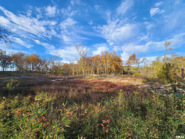 253 Ween Road, DeSoto, Illinois 62924, 7 Bedrooms Bedrooms, 0 ,4 BathroomsBathrooms,Residential,For Sale,Ween,0,RMAEB460556