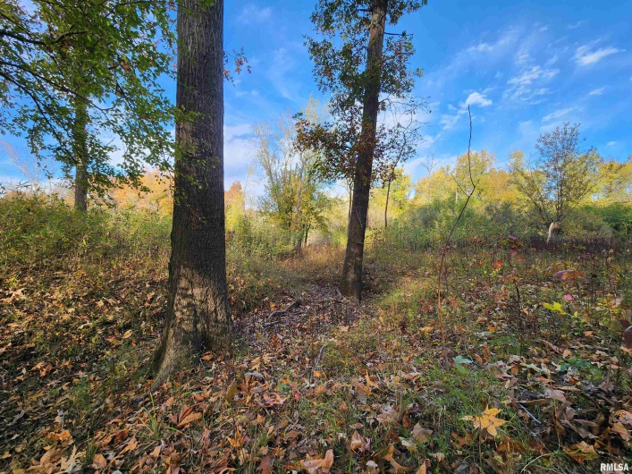 253 Ween Road, DeSoto, Illinois 62924, 7 Bedrooms Bedrooms, 0 ,4 BathroomsBathrooms,Residential,For Sale,Ween,0,RMAEB460556