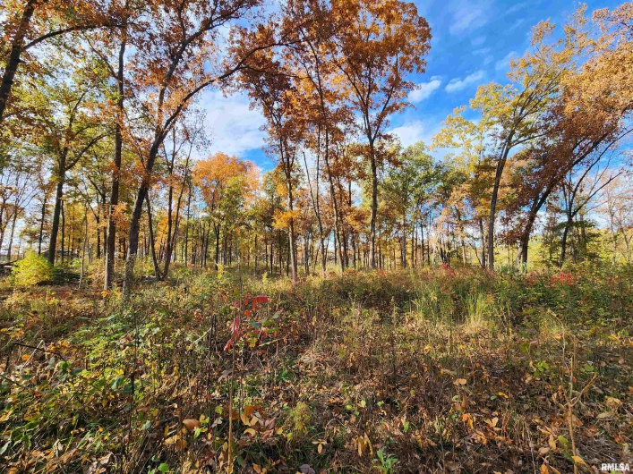 253 Ween Road, DeSoto, Illinois 62924, 7 Bedrooms Bedrooms, 0 ,4 BathroomsBathrooms,Residential,For Sale,Ween,0,RMAEB460556