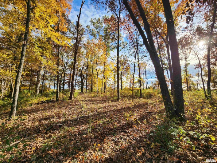 253 Ween Road, DeSoto, Illinois 62924, 7 Bedrooms Bedrooms, 0 ,4 BathroomsBathrooms,Residential,For Sale,Ween,0,RMAEB460556