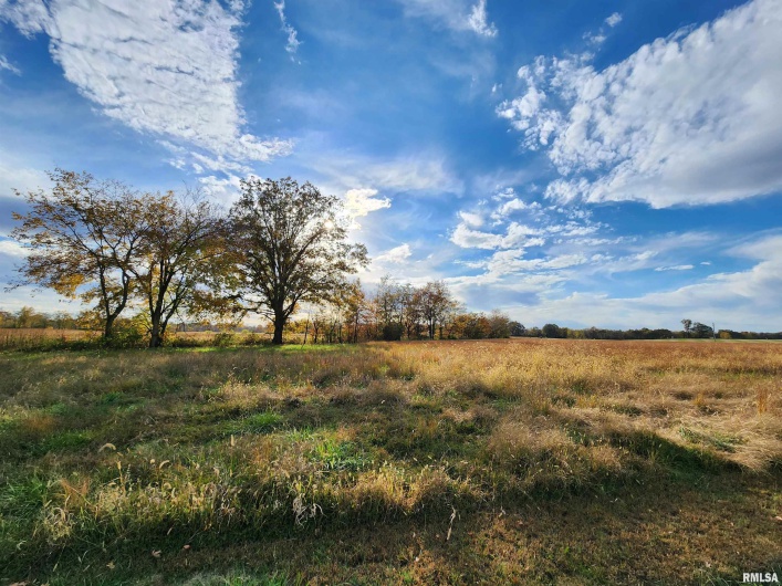253 Ween Road, DeSoto, Illinois 62924, 7 Bedrooms Bedrooms, 0 ,4 BathroomsBathrooms,Residential,For Sale,Ween,0,RMAEB460556