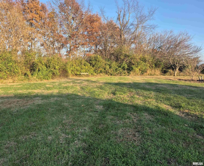 1100 MOORE Street, Eldorado, Illinois 62930, 2 Bedrooms Bedrooms, 0 ,2 BathroomsBathrooms,Residential,For Sale,MOORE,0,RMAEB460563