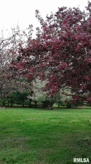 1100 MOORE Street, Eldorado, Illinois 62930, 2 Bedrooms Bedrooms, 0 ,2 BathroomsBathrooms,Residential,For Sale,MOORE,0,RMAEB460563