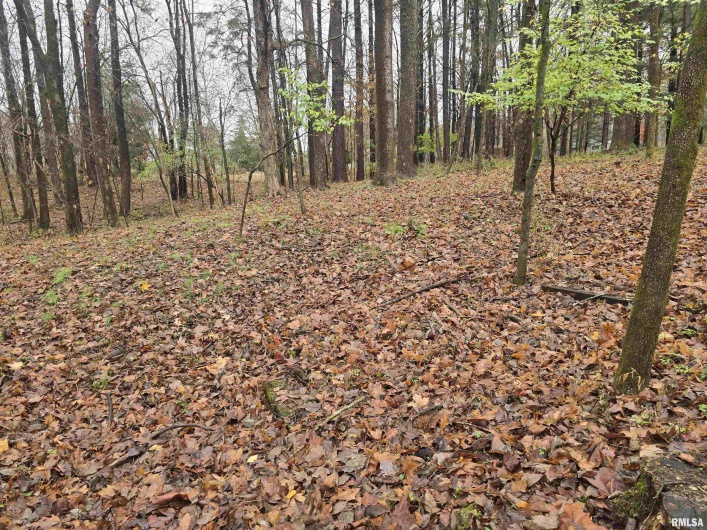 567 UNION GROVE Road, Carbondale, Illinois 62901, 3 Bedrooms Bedrooms, 0 ,3 BathroomsBathrooms,Residential,For Sale,UNION GROVE,0,RMAEB460605