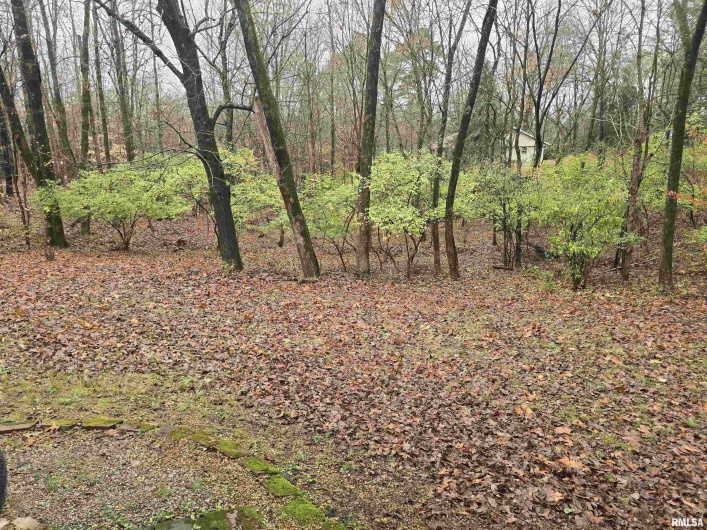 567 UNION GROVE Road, Carbondale, Illinois 62901, 3 Bedrooms Bedrooms, 0 ,3 BathroomsBathrooms,Residential,For Sale,UNION GROVE,0,RMAEB460605