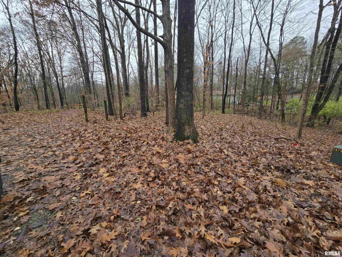 567 UNION GROVE Road, Carbondale, Illinois 62901, 3 Bedrooms Bedrooms, 0 ,3 BathroomsBathrooms,Residential,For Sale,UNION GROVE,0,RMAEB460605