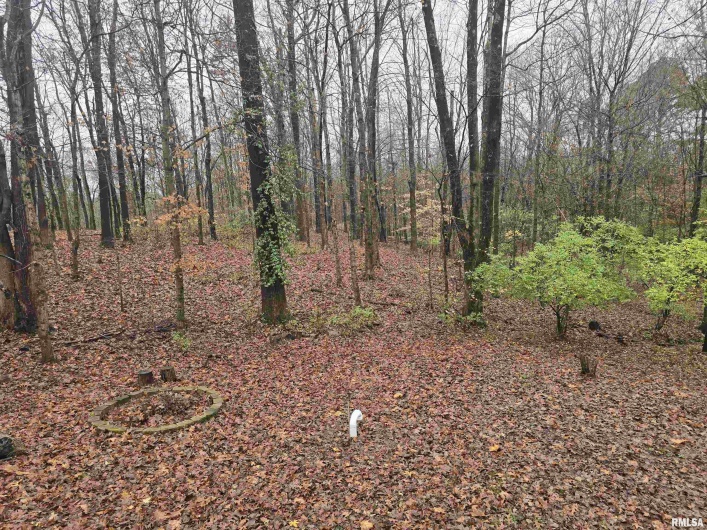 567 UNION GROVE Road, Carbondale, Illinois 62901, 3 Bedrooms Bedrooms, 0 ,3 BathroomsBathrooms,Residential,For Sale,UNION GROVE,0,RMAEB460605