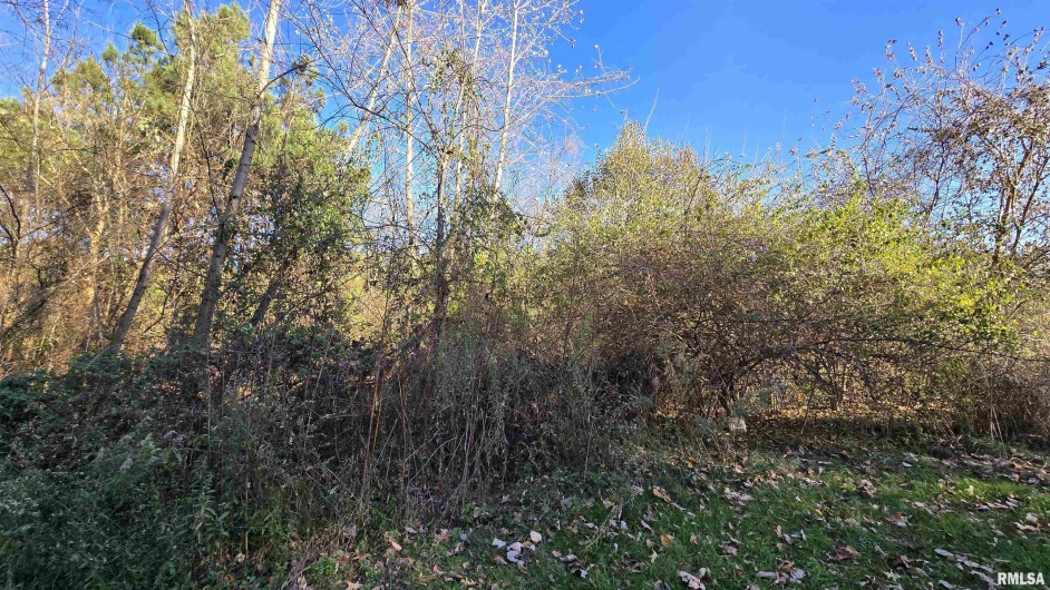 650 Old Route 146 Loop, Vienna, Illinois 62995, 3 Bedrooms Bedrooms, 0 ,1 BathroomBathrooms,Residential,For Sale,Old Route 146,0,RMAEB459706