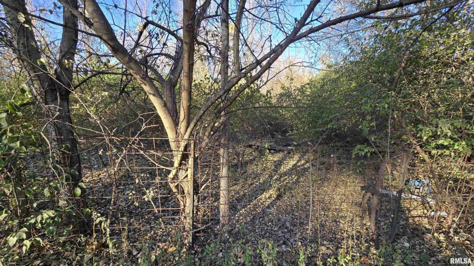 650 Old Route 146 Loop, Vienna, Illinois 62995, 3 Bedrooms Bedrooms, 0 ,1 BathroomBathrooms,Residential,For Sale,Old Route 146,0,RMAEB459706