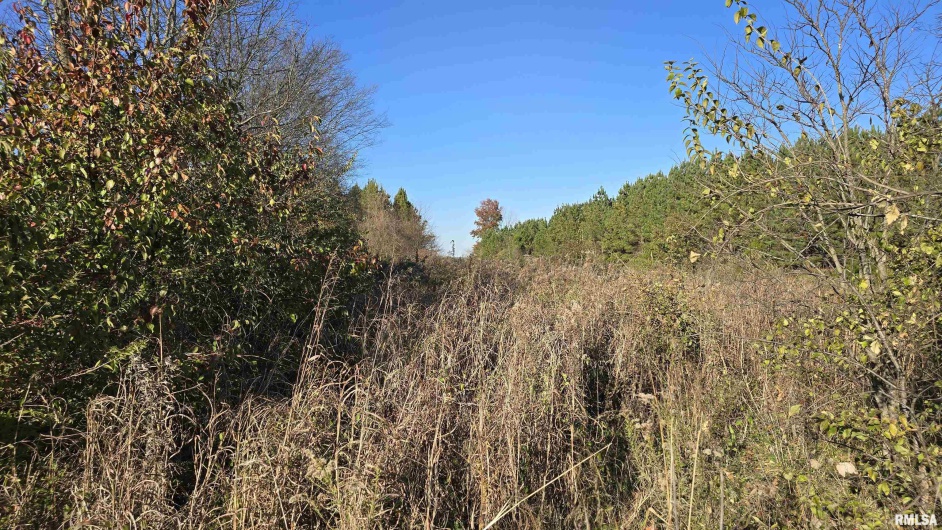 650 Old Route 146 Loop, Vienna, Illinois 62995, 3 Bedrooms Bedrooms, 0 ,1 BathroomBathrooms,Residential,For Sale,Old Route 146,0,RMAEB459706