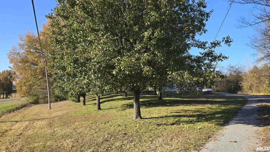 650 Old Route 146 Loop, Vienna, Illinois 62995, 3 Bedrooms Bedrooms, 0 ,1 BathroomBathrooms,Residential,For Sale,Old Route 146,0,RMAEB459706