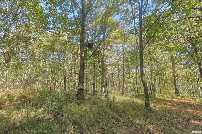 00 Winstead Road, Cobden, Illinois 62920, 1 Bedroom Bedrooms, 0 ,1 BathroomBathrooms,Residential,For Sale,Winstead,0,RMAEB460159