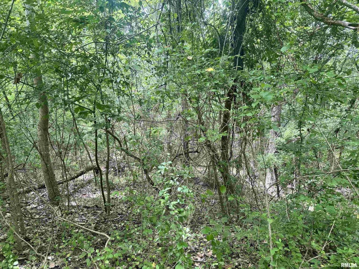 000 Knob Creek Road, Carbondale, Illinois 62903, 0 , 0 ,0,Land,For Sale,Knob Creek,0,RMAEB451171