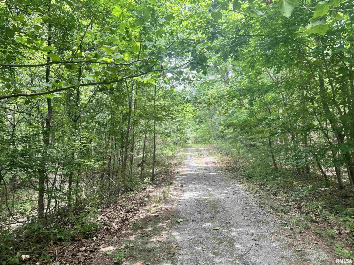000 Knob Creek Road, Carbondale, Illinois 62903, 0 , 0 ,0,Land,For Sale,Knob Creek,0,RMAEB451171