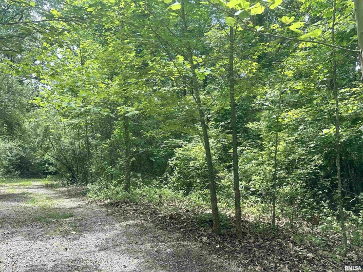 000 Knob Creek Road, Carbondale, Illinois 62903, 0 , 0 ,0,Land,For Sale,Knob Creek,0,RMAEB451171