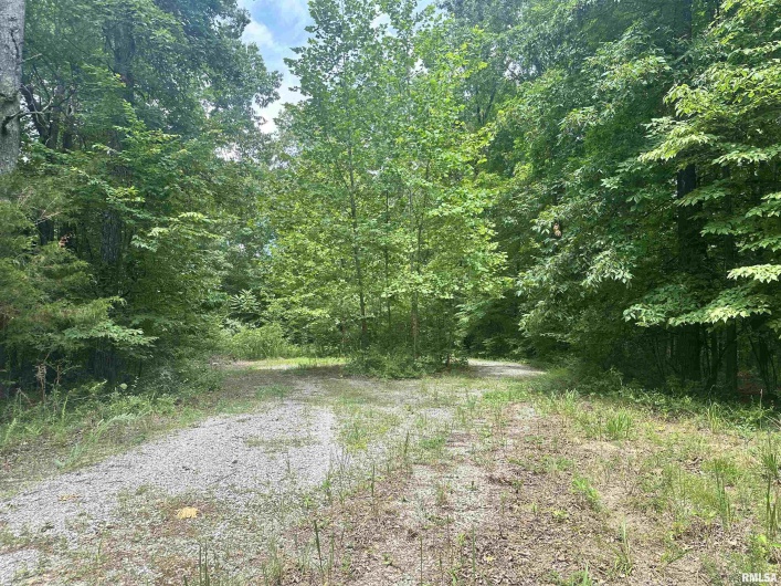000 Knob Creek Road, Carbondale, Illinois 62903, 0 , 0 ,0,Land,For Sale,Knob Creek,0,RMAEB451171