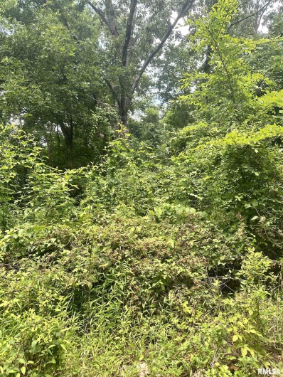 000 Knob Creek Road, Carbondale, Illinois 62903, 0 , 0 ,0,Land,For Sale,Knob Creek,0,RMAEB451171