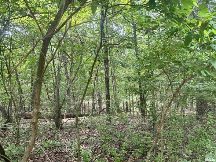 000 Knob Creek Road, Carbondale, Illinois 62903, 0 , 0 ,0,Land,For Sale,Knob Creek,0,RMAEB451171