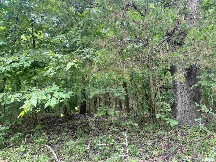 000 Knob Creek Road, Carbondale, Illinois 62903, 0 , 0 ,0,Land,For Sale,Knob Creek,0,RMAEB451171