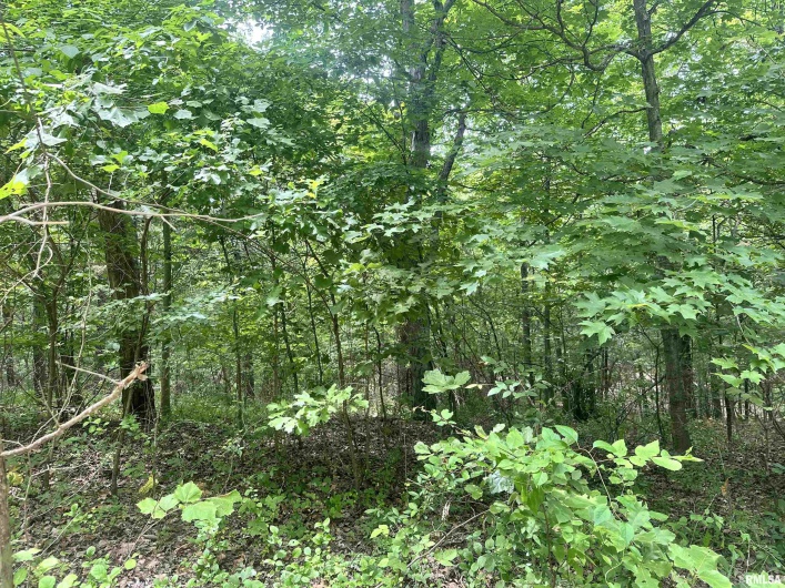 000 Knob Creek Road, Carbondale, Illinois 62903, 0 , 0 ,0,Land,For Sale,Knob Creek,0,RMAEB451171