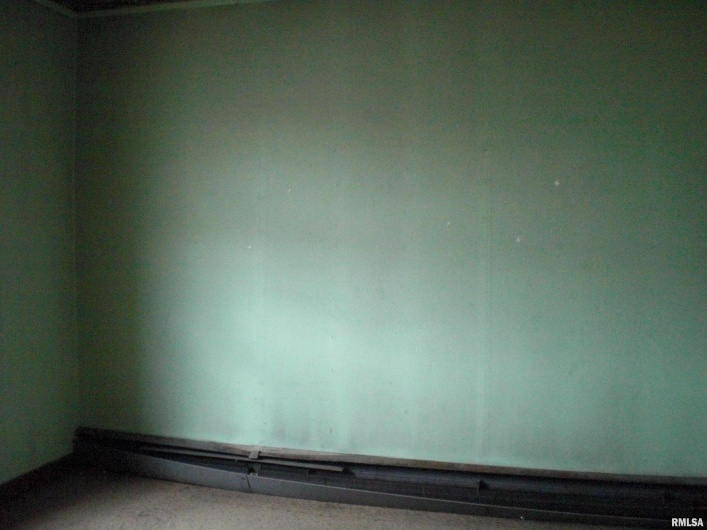 113 WASHINGTON Street, Carbondale, Illinois 62901, 0 , 0 ,0,Commercial Sale,For Sale,WASHINGTON,0,RMAEB444056