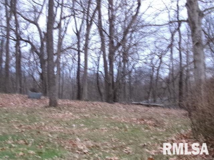 23 IL 34 S Route, Rosiclare, Illinois 62982, 2 Bedrooms Bedrooms, 0 ,1 BathroomBathrooms,Residential,For Sale,IL 34 S,0,RMAEB460711