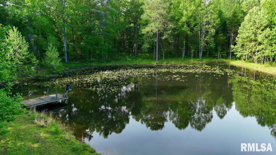 28 PERKINS Lane, Golconda, Illinois 62938, 3 Bedrooms Bedrooms, 0 ,1 BathroomBathrooms,Residential,For Sale,PERKINS,0,RMACA1040906