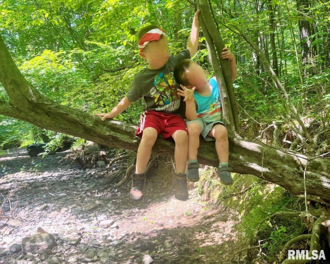 28 PERKINS Lane, Golconda, Illinois 62938, 3 Bedrooms Bedrooms, 0 ,1 BathroomBathrooms,Residential,For Sale,PERKINS,0,RMACA1040906