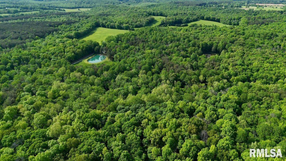 28 PERKINS Lane, Golconda, Illinois 62938, 3 Bedrooms Bedrooms, 0 ,1 BathroomBathrooms,Residential,For Sale,PERKINS,0,RMACA1040906