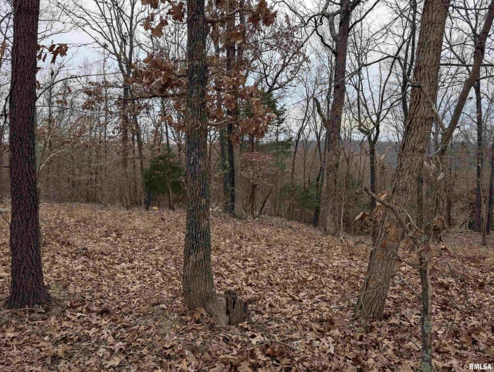 2643 DOGWOOD Road, Carbondale, Illinois 62902, 0 , 0 ,0,Land,For Sale,DOGWOOD,0,RMAQC4270029