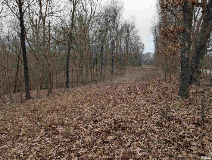 2643 DOGWOOD Road, Carbondale, Illinois 62902, 0 , 0 ,0,Land,For Sale,DOGWOOD,0,RMAQC4270029